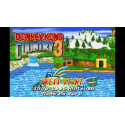 Gameboy Advance - Donkey Kong Country 3 - Game Only