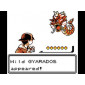 Pokemon Gold Silver ...