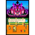 Mario and Luigi Partners in Time Nintendo DS (Game Only)