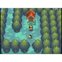 DS Pokemon Heart Gold - Nintendo DS Pokemon HeartGold Version - Game Only