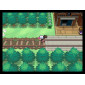 DS Pokemon Black - N...