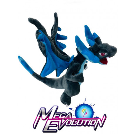 Mega Evolution Chari...