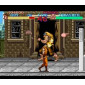 SNES Final Fight Guy...